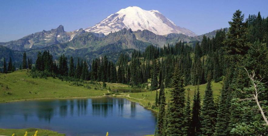 吉林省桦甸市吉兴播种器有限公司轮播图4