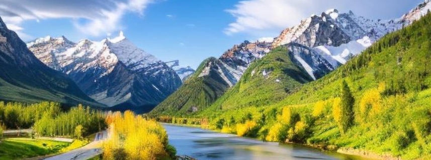 吉林省桦甸市吉兴播种器有限公司轮播图3